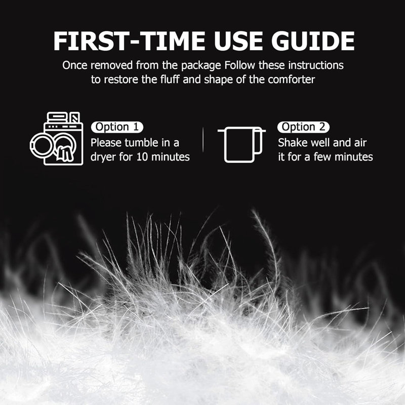 Alwyn Home 750in³/oz Fill Power All Season Goose Down Comforter